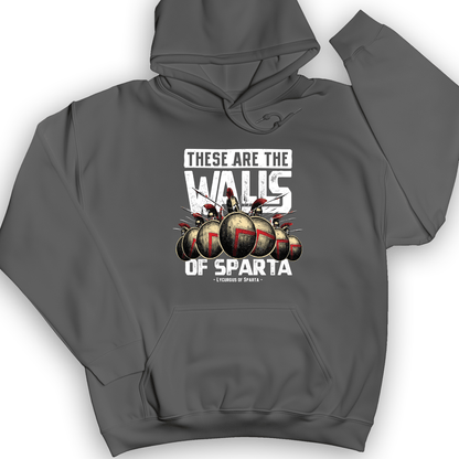 The Walls Of Sparta Hoodie Charcoal / S