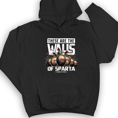 The Walls Of Sparta Hoodie Black / S