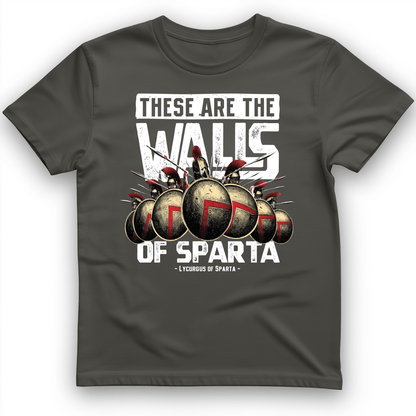 The Walls Of Sparta T-Shirt Charcoal / S