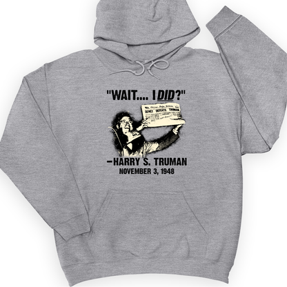 Truman Wait I Did Hoodie Sport Grey / S