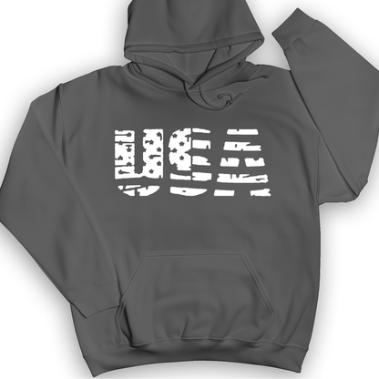 USA Hoodie Charcoal / S