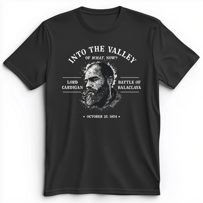 Valley Of What Now Premium Tee Dark Grey Heather / S