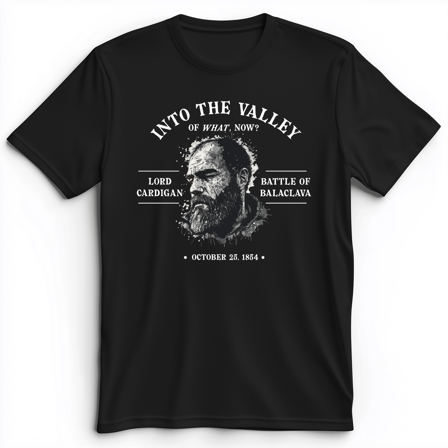 Valley Of What Now Premium Tee Black / S