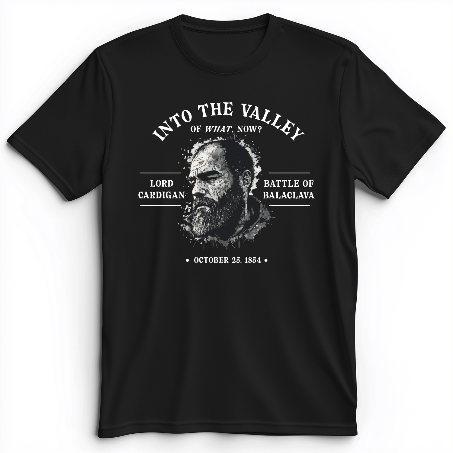 Valley Of What Now Premium Tee Black / S