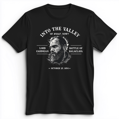Valley Of What Now Premium Tee Black / S