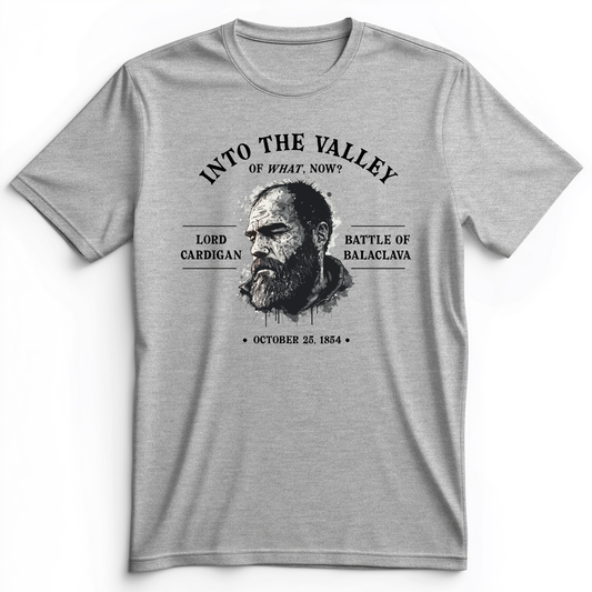 Valley Of What Now Premium Tee Athletic Heather / S