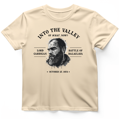 Valley Of What Now T-Shirt Natural / S