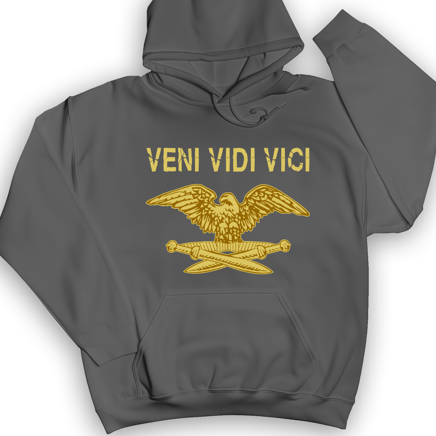 Veni Vidi Vici Hoodie Charcoal / S