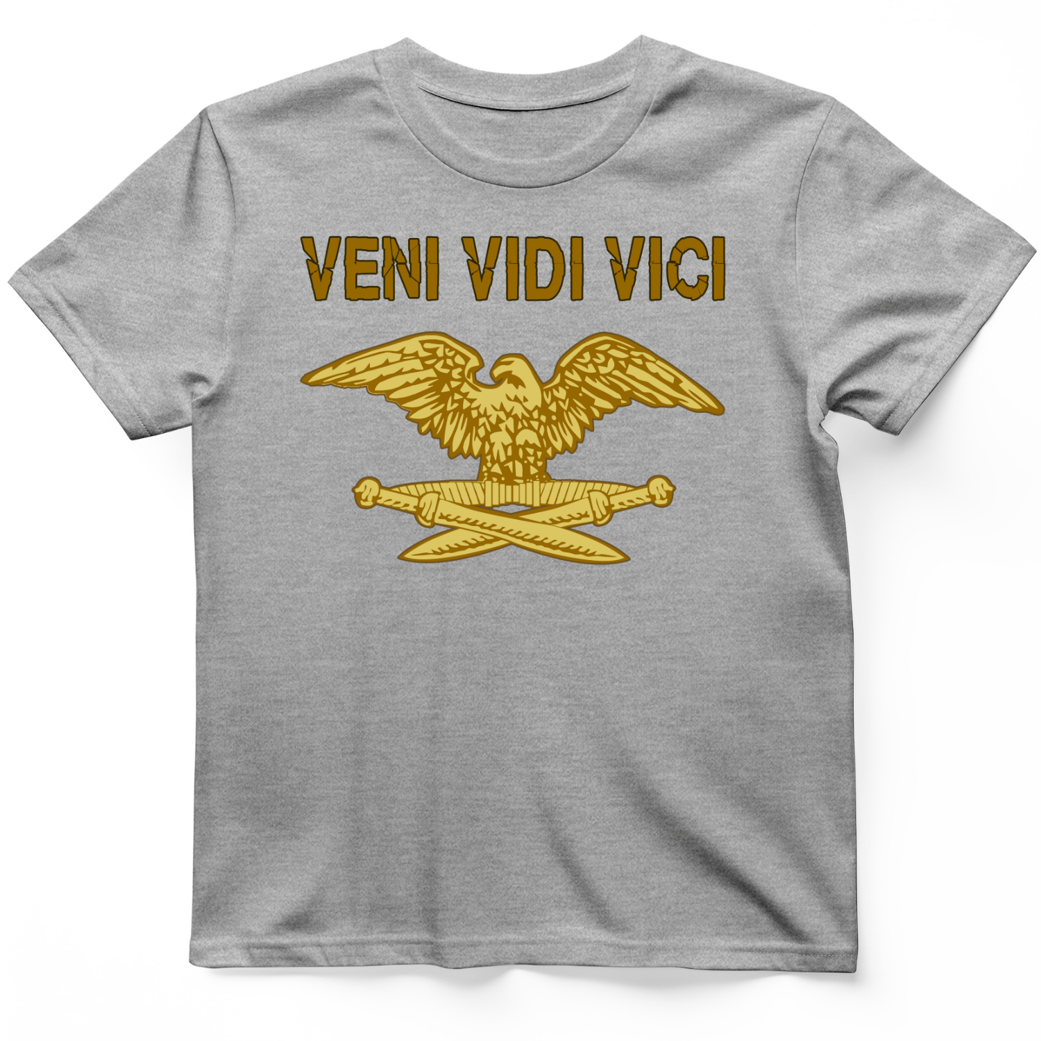 Veni Vidi Vici T-Shirt Sport Grey / S