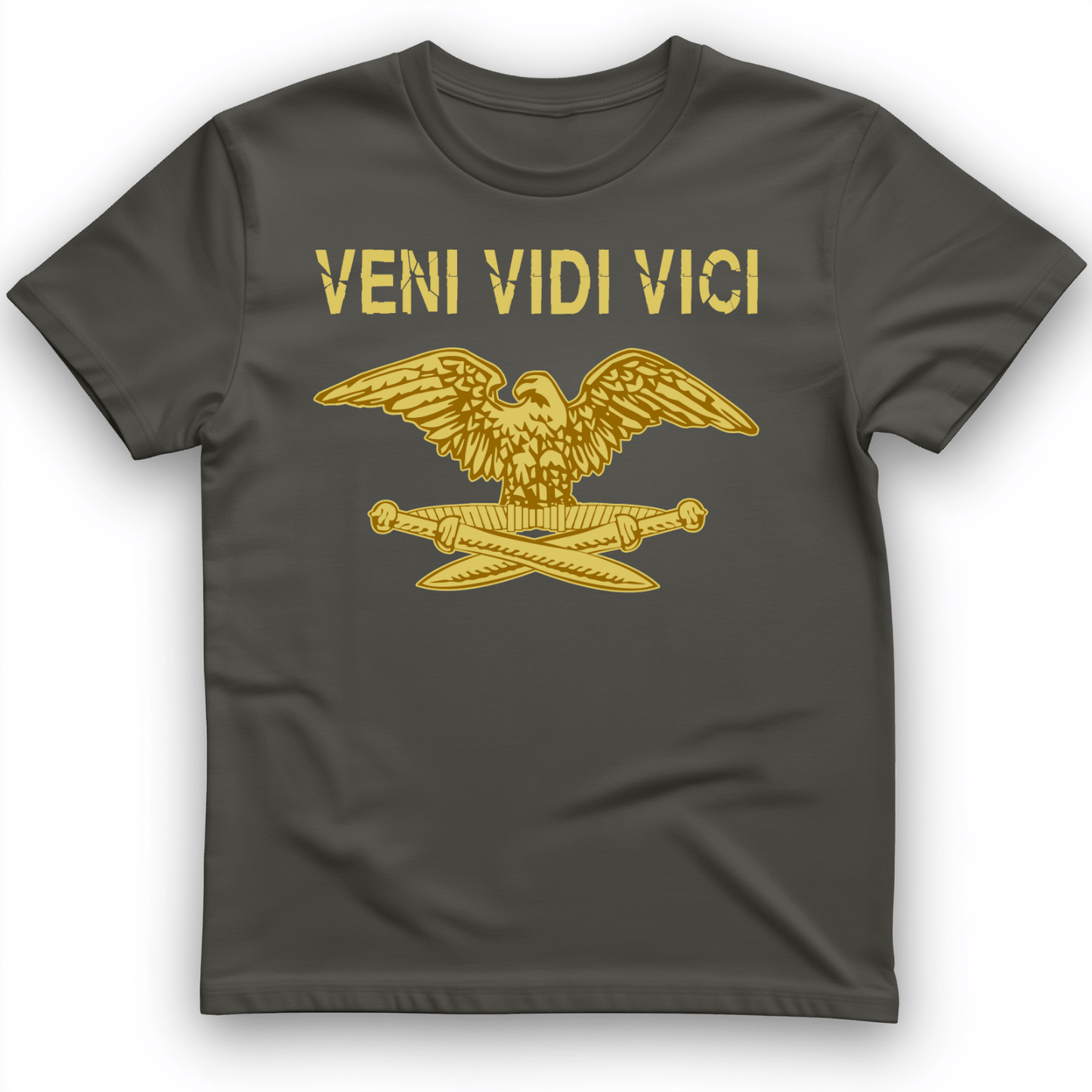 Veni Vidi Vici T-Shirt Charcoal / S