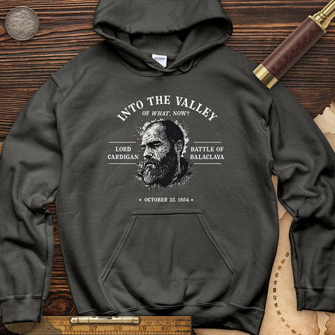 Valley Of What Now Hoodie Charcoal / S