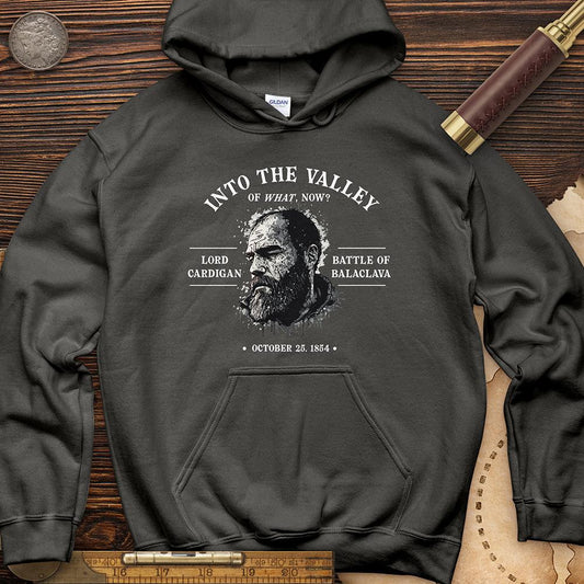 Valley Of What Now Hoodie