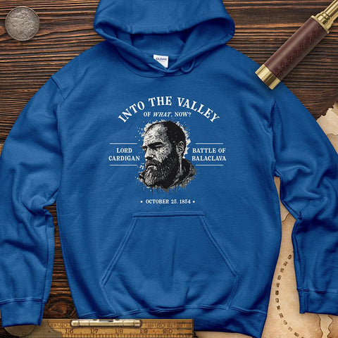 Valley Of What Now Hoodie