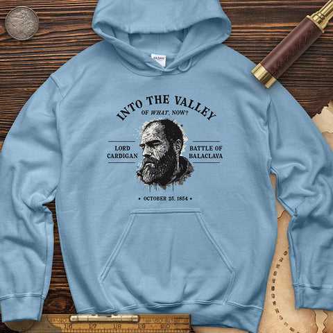 Valley Of What Now Hoodie