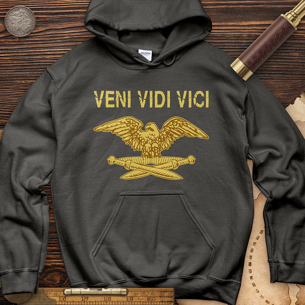 Veni Vidi Vici Hoodie