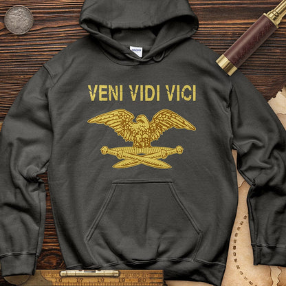 Veni Vidi Vici Hoodie